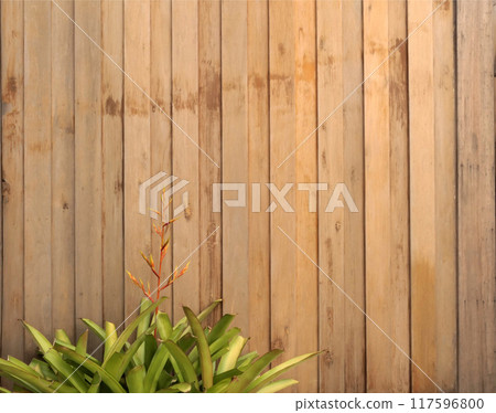 Old wood plank texture background Old wood plank texture background 117596800
