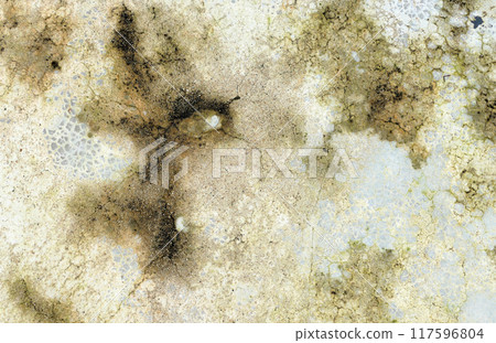 Vintage weathered concrete wall texture background 117596804