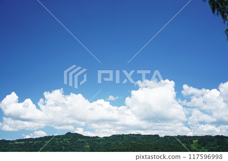 山上的白雲 117596998