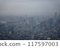 陰天從東京晴空塔看到的風景 117597003