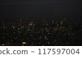 從東京天空樹看的夜視圖 117597004