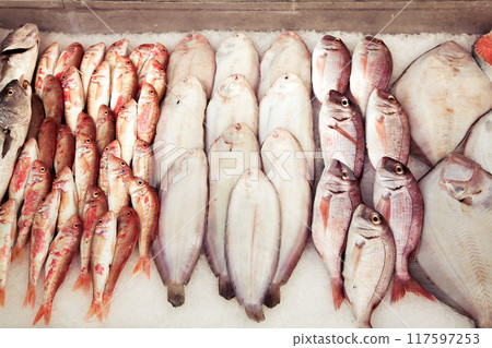 Fresh Sea Fish on Ice for Sale 117597253