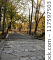 Promenade in a park with autumn leaves 117597503