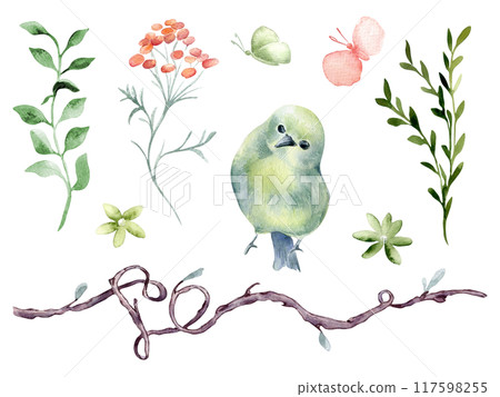 Bird round body green yellow, flowers and branches hand drawn watercolor. Pink butterfly, simple floral elements shaped heart in botanical sketch. Cute avian set for design child textile, home. Bird round body green yellow, flowers and branches hand drawn watercolor. Pink butterfly, simple floral elements shaped heart in botanical sketch. Cute avian set for design child textile, home. 117598255