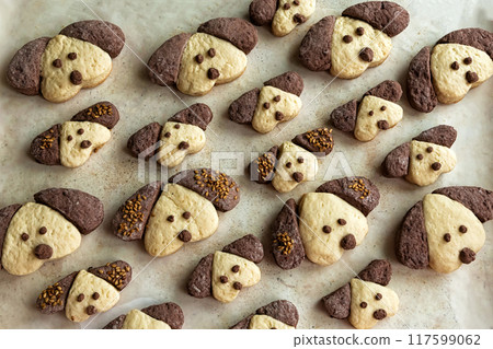 Cookies in the form of dogs in the form for baking 117599062