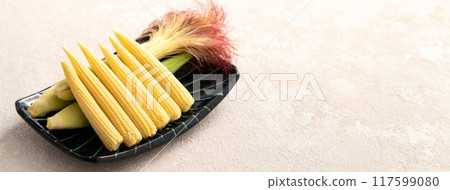 Corn tips, corn shoots, vegetables, baby corn husk Corn tips, corn shoots, vegetables, baby corn husk 117599080