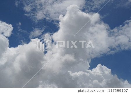 夏天的藍天白雲 117599107