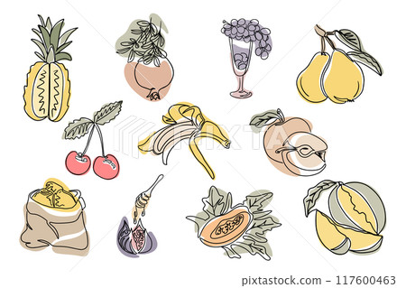 Vintage set of contour drawings of fruits Vintage set of contour drawings of fruits 117600463
