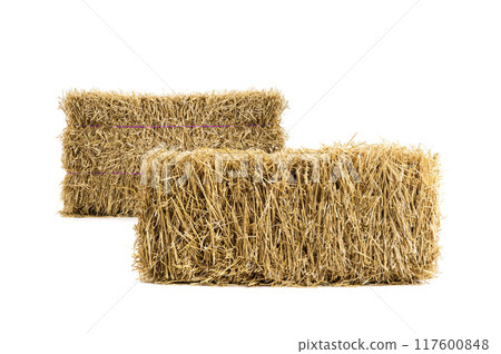 dry haystack isolated 117600848