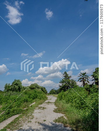 Summer blue sky and white clouds 117600973