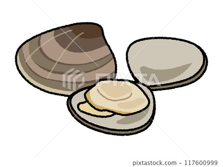 蛤蜊插圖 蛤蜊插圖 117600999