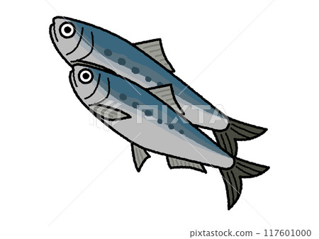 Illustration of Iwashi Illustration of Iwashi 117601000