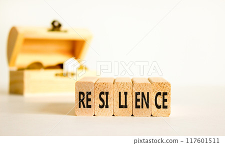 Resilience symbol. Concept word Resilience on beautiful wooden blocks. Beautiful white background. Beautiful wooden chest with coins. Business resilience concept. Copy space. 117601511