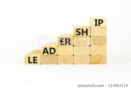 Leadership symbol. Concept word Leadership on beautiful wooden blocks. Beautiful white background. Business leadership concept. Copy space. Leadership symbol. Concept word Leadership on beautiful wooden blocks. Beautiful white background. Business leadership concept. Copy space. 117601514