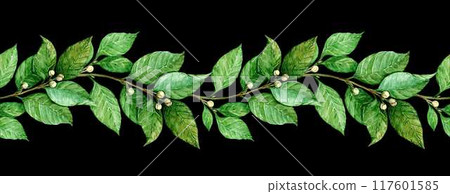 Laurel seamless pattern. Horizontal border with green leaves. Hand drawn watercolor illustration for invitations, greetings, photos, text. Antique symbol of victory, gain. 117601585