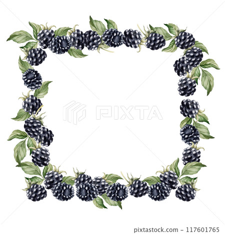 Blackberry frame with berries and leaves. Watercolor isolated illustration for table textile, porcelain tableware and delicious prints, summer fabrics, wrapping paper, food packages, label, logo Blackberry frame with berries and leaves. Watercolor isolated illustration for table textile, porcelain tableware and delicious prints, summer fabrics, wrapping paper, food packages, label, logo 117601765