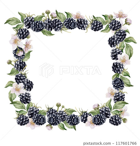 Blackberry frame with flowers and leaves. Watercolor isolated illustration for table textile, porcelain tableware and delicious prints, summer fabrics, wrapping paper, food packages, label, logo 117601766