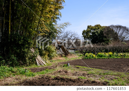 春季鄉村景觀 春季鄉村景觀 117601853