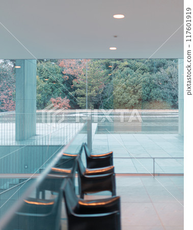 View from the window View from the window 117601919