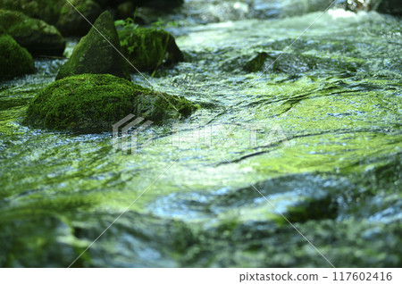 Stream water flow Stream water flow 117602416