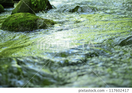 Stream water flow Stream water flow 117602417