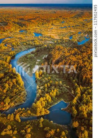 Aerial View Green Forest Woods And River Landscape In Sunny Spring Evening. Top View Of Beautiful European Nature From High Attitude In Summer Season. Drone View. Bird's Eye View 117602495