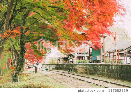 Autumn leaves at Mikawa-Hirose Station, an abandoned railway line Autumn leaves at Mikawa-Hirose Station, an abandoned railway line 117602519