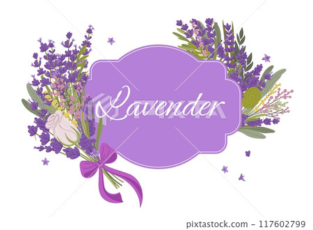 Decorative frame with lavender flowers. Isolated vector elegant border or label with wildflower bouquets and lavender floral arrangement. Purple serene and calming decor for invitation, greeting card Decorative frame with lavender flowers. Isolated vector elegant border or label with wildflower bouquets and lavender floral arrangement. Purple serene and calming decor for invitation, greeting card 117602799