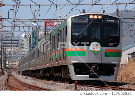 東海道線E217系列列車排成長隊形穿越著名拍攝地點_2010年3月11日攝 117602825