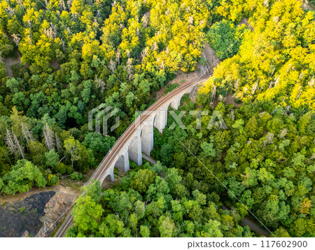 The stone railway bridge at Zampach elegantly arches through dense, green forest, showcasing a blend of engineering and nature in Czechia's scenic landscape. The stone railway bridge at Zampach elegantly arches through dense, green forest, showcasing a blend of engineering and nature in Czechia's scenic landscape. 117602900