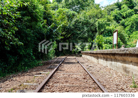 Former Kurayoshi Line abandoned railway line around Taikyuji Station 117603336