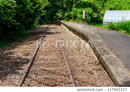 Former Kurayoshi Line abandoned railway line around Taikyuji Station 117603337