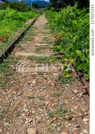 舊國鐵倉吉線廢棄路線、太急寺站週邊 舊國鐵倉吉線廢棄路線、太急寺站週邊 117603343