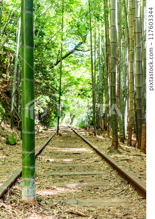 舊國鐵倉吉線廢棄鐵路遺址及竹林 117603344