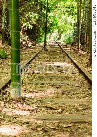 舊國鐵倉吉線廢棄鐵路遺址及竹林 117603345