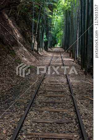 舊國鐵倉吉線廢棄鐵路遺址及竹林 舊國鐵倉吉線廢棄鐵路遺址及竹林 117603357