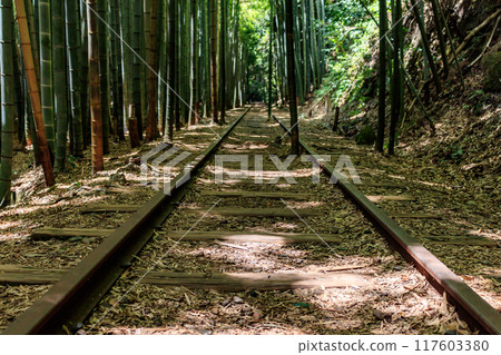 Former Kurayoshi Line Abandoned Tracks and Bamboo Forest Former Kurayoshi Line Abandoned Tracks and Bamboo Forest 117603380
