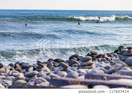 鳴石海灘和衝浪者 鳴石海灘和衝浪者 117603414