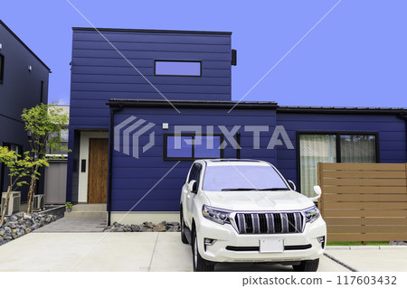 White car and modern house 117603432