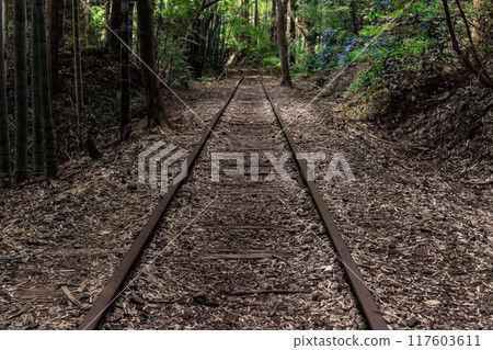 舊國鐵倉吉線廢棄鐵路遺址及竹林 舊國鐵倉吉線廢棄鐵路遺址及竹林 117603611