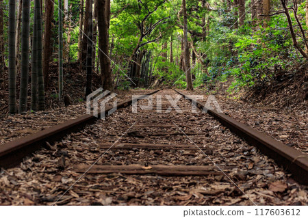 舊國鐵倉吉線廢棄鐵路遺址及竹林 舊國鐵倉吉線廢棄鐵路遺址及竹林 117603612