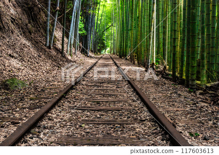 舊國鐵倉吉線廢棄鐵路遺址及竹林 117603613