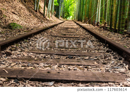 舊國鐵倉吉線廢棄鐵路遺址及竹林 117603614