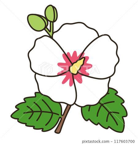 Mukge 117603700
