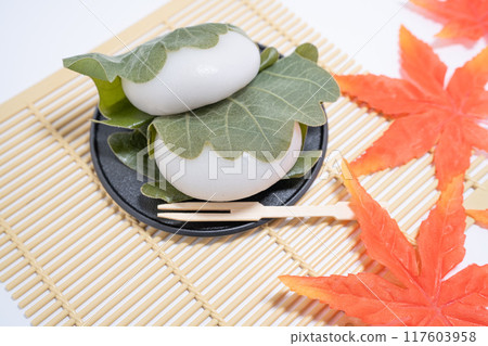 Shokushi 117603958