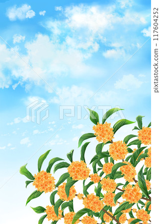 桂花秋景垂直 117604252
