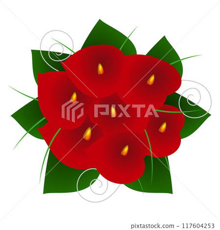 A bunch of red callas on a white background. A bunch of red callas on a white background. 117604253