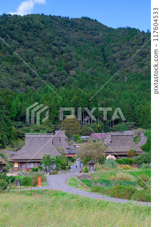 Late Autumn in Kayabuki Village Late Autumn in Kayabuki Village 117604533