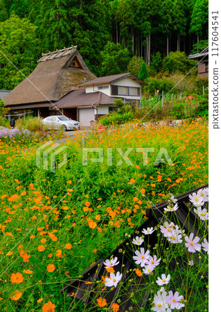 Late Autumn in Kayabuki Village Late Autumn in Kayabuki Village 117604541
