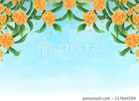 桂花秋天背景 桂花秋天背景 117604594